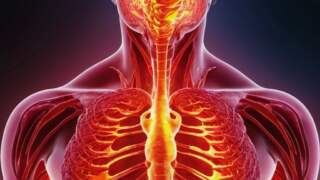 The Impact of Inflammation on Your Health