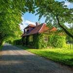 Protect Your Ears: Hearing Loss Prevention Tips