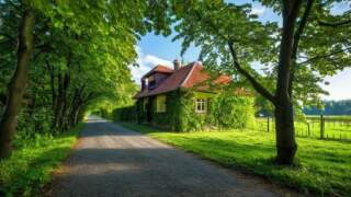Protect Your Ears: Hearing Loss Prevention Tips